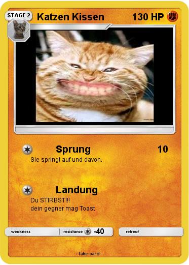 Pokemon Katzen Kissen