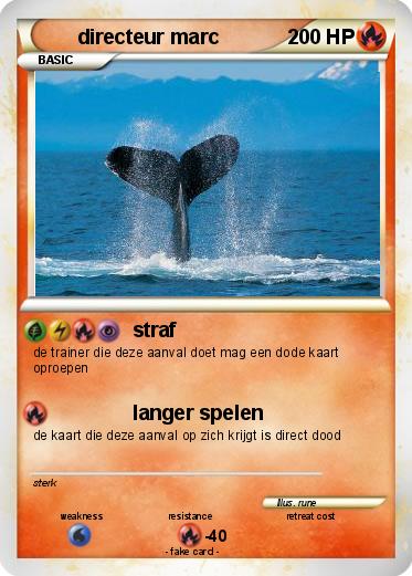Pokemon directeur marc