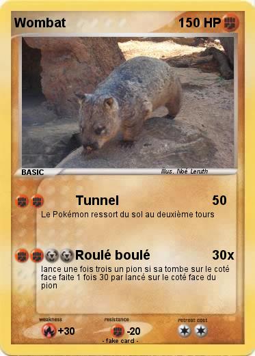 Pokemon Wombat