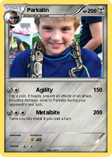 Pokemon Parkatin