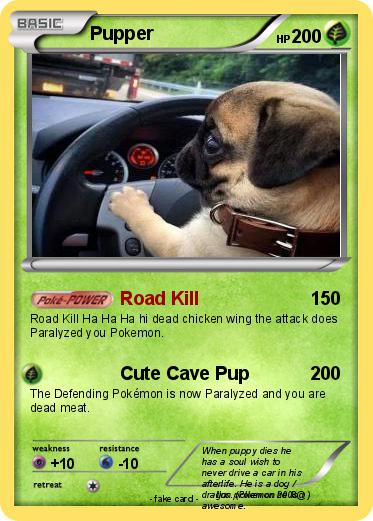 Pokemon Pupper
