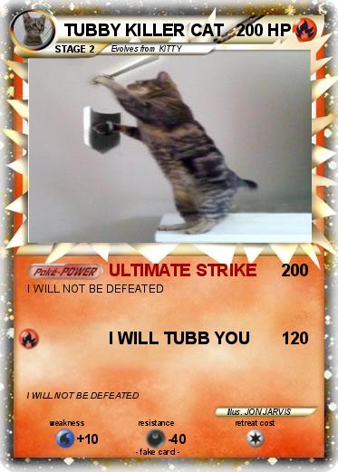 Pokemon TUBBY KILLER CAT