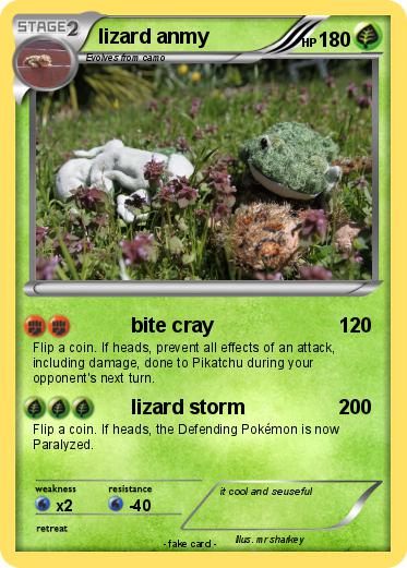 Pokemon lizard anmy