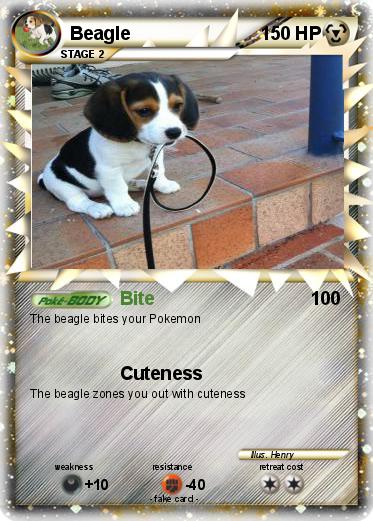 Pokemon Beagle