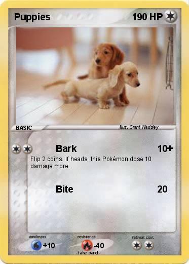Pokemon Puppies