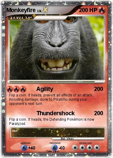 Pokemon Monkeyfire