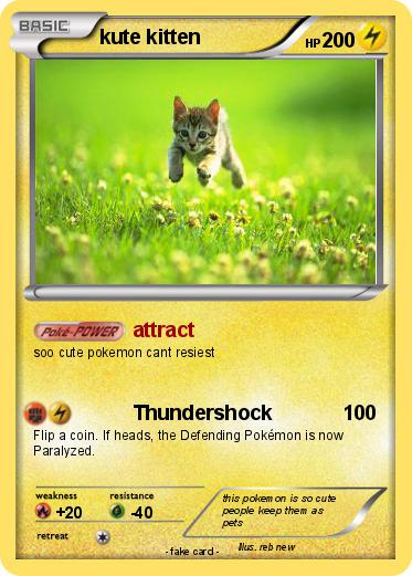 Pokemon kute kitten