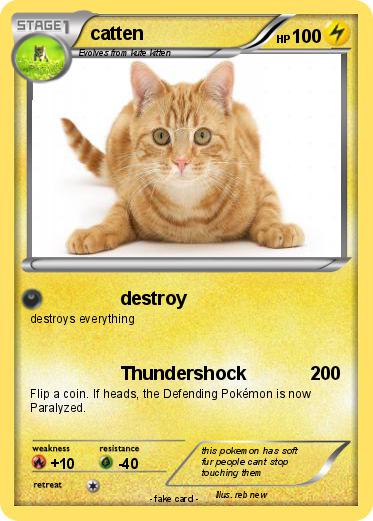 Pokemon catten