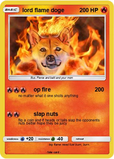 Pokemon lord flame doge