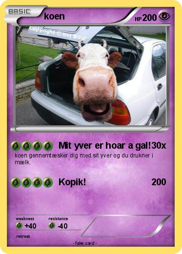 Pokemon koen