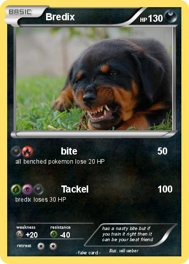 Pokemon Bredix