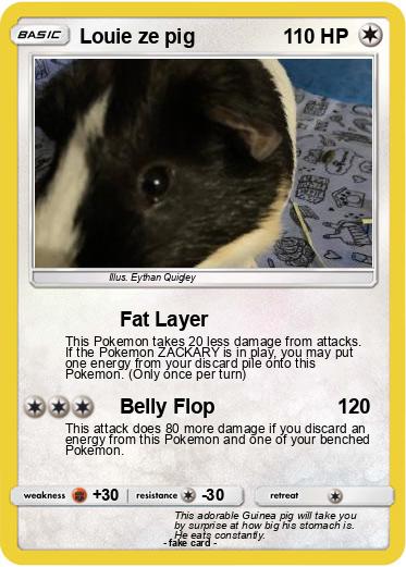 Pokemon Louie ze pig