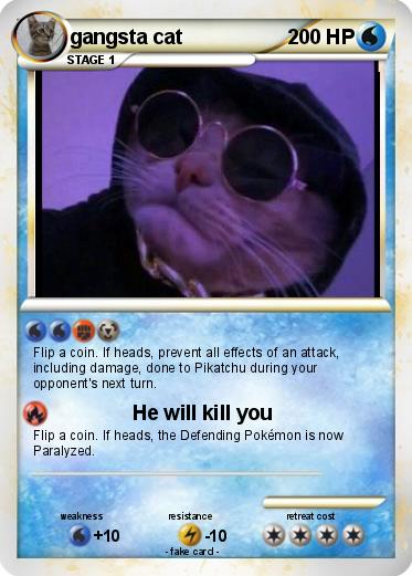 Pokemon gangsta cat