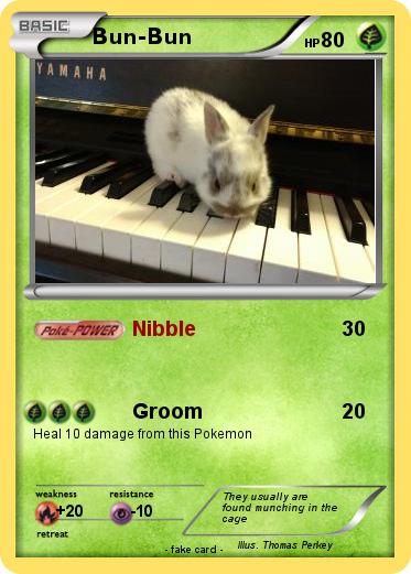 Pokemon Bun-Bun