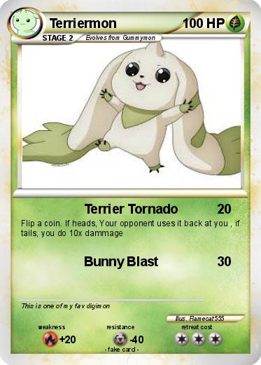 Pokemon Terriermon