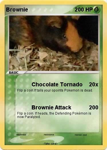 Pokemon Brownie