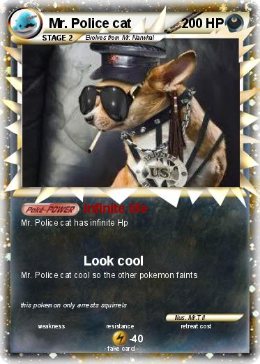 Pokemon Mr. Police cat