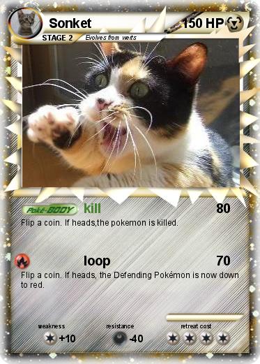Pokemon Sonket