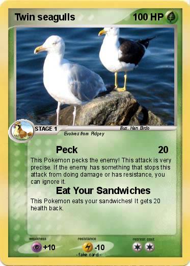 Pokemon Twin seagulls