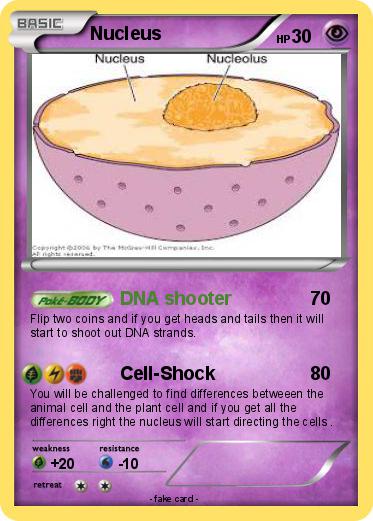 Pokemon Nucleus