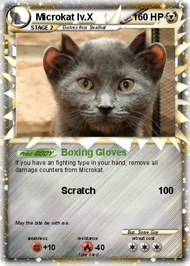 Pokemon Microkat lv.X