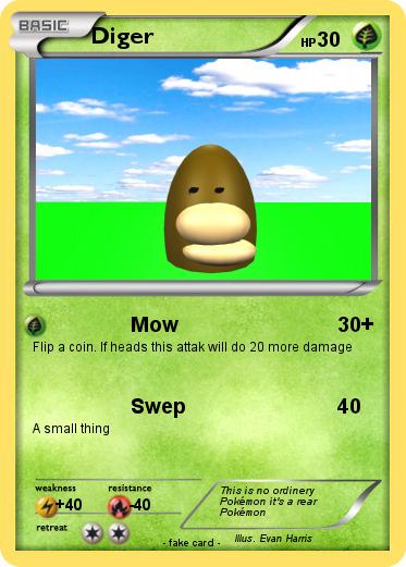 Pokemon Diger
