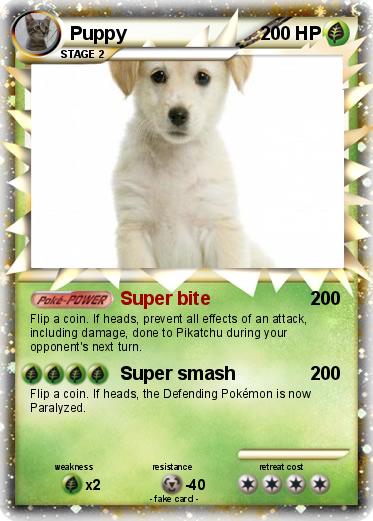Pokemon Puppy