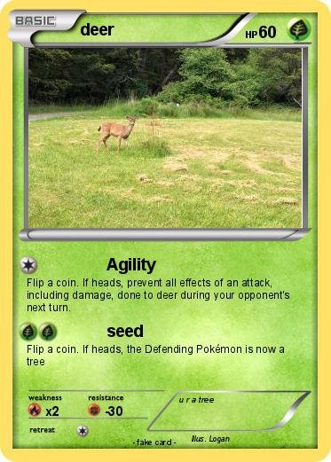 Pokemon deer