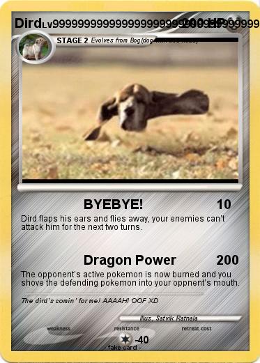 Pokemon Dird