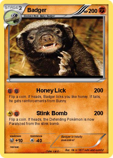 Pokemon Badger