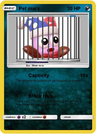 Pokemon Pet marx