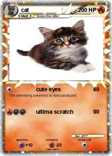 Pokemon cat