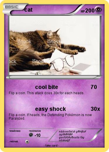 Pokemon cat