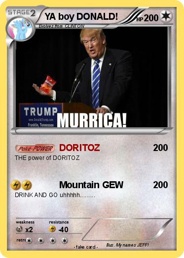 Pokemon YA boy DONALD!