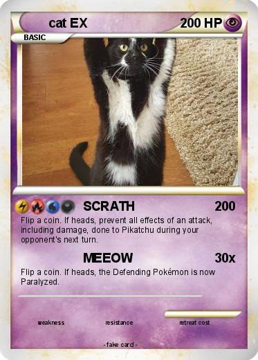 Pokemon cat EX