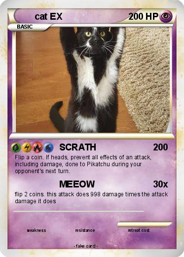 Pokemon cat EX