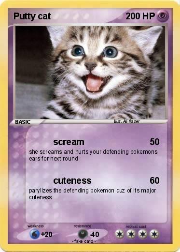 Pokemon Putty cat