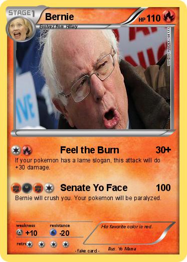 Pokemon Bernie