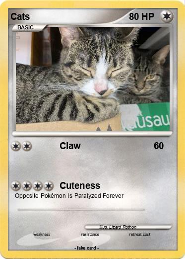 Pokemon Cats