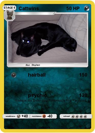 Pokemon Cattwins