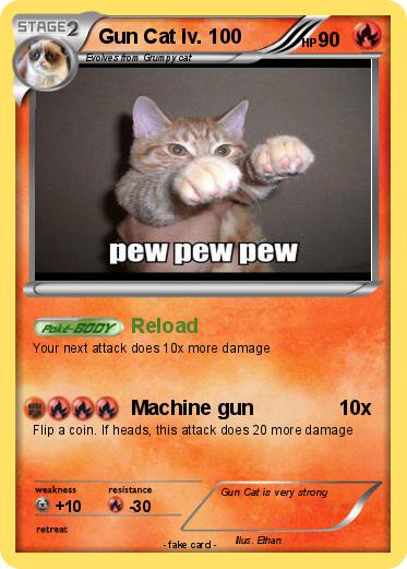 Pokemon Gun Cat lv. 100