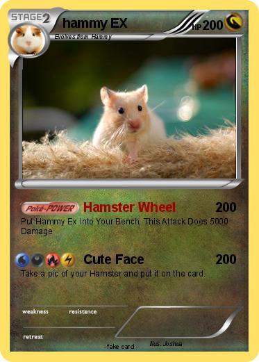 Pokemon hammy EX