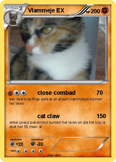 Pokemon Vlammeje EX