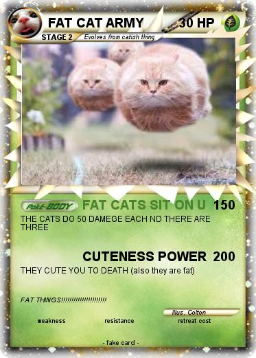 Pokemon FAT CAT ARMY