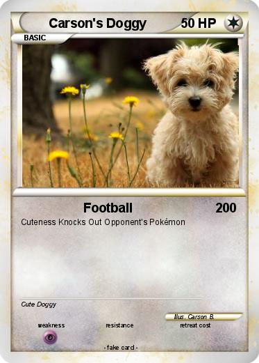 Pokemon Carson's Doggy