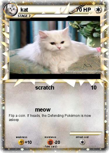 Pokemon kat