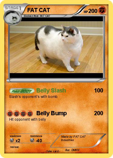 Pokemon FAT CAT