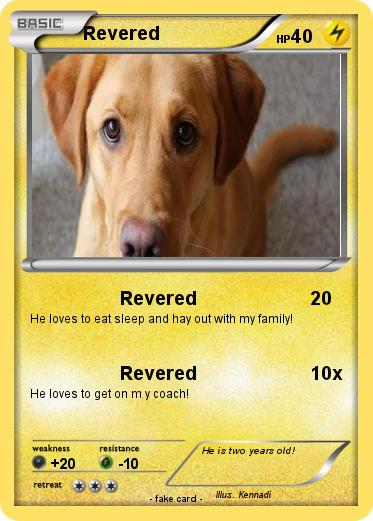 Pokemon Revered