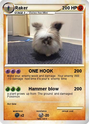 Pokemon Raker