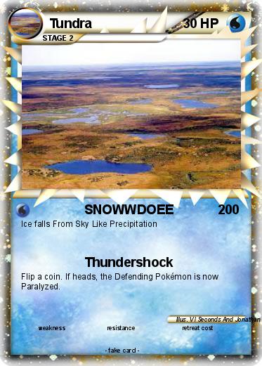Pokemon Tundra